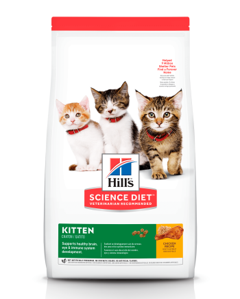 Concentrado Hills Kitten - Sabor a Pollo