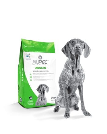 Concentrado NUPEC para perro Adulto.