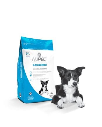 Concentrado NUPEC para Cachorros