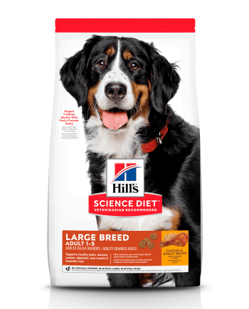 Concentrado Hills para Adulto Large Breed  Sabor Pollo