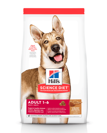 Concentrado Hills ADULTO - Sabor Cordero y Arroz