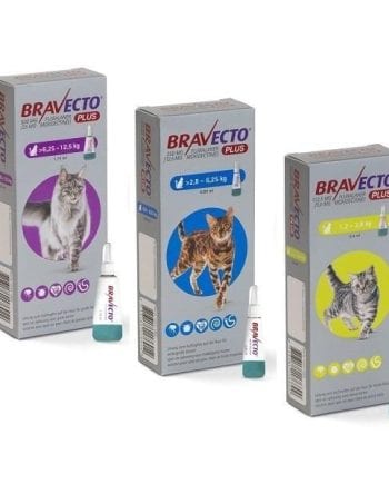 BRAVECTO PLUS - GATO