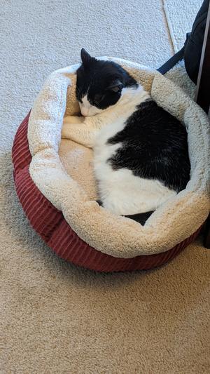 Self Warming Pet Pad Soft Plush Self Warming Cat Bed Mat