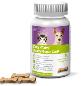 CANI-TABS HEALTHY BONES -Bote 60 tabletas