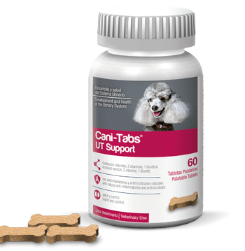 CANI-TABS UT SUPPORT - FRASCO 60 tabletas