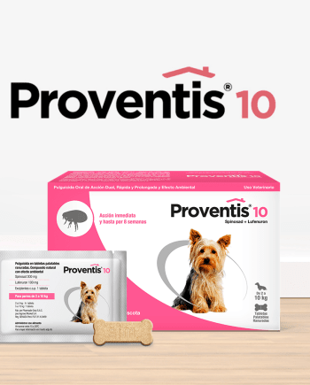 PROVENTIS 10 Antipulgas-perro