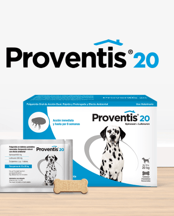 PROVENTIS 20 Antipulgas-perro
