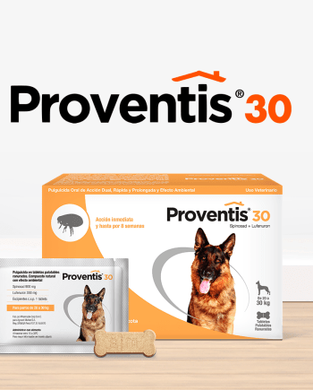 PROVENTIS 30 Antipulgas-perro