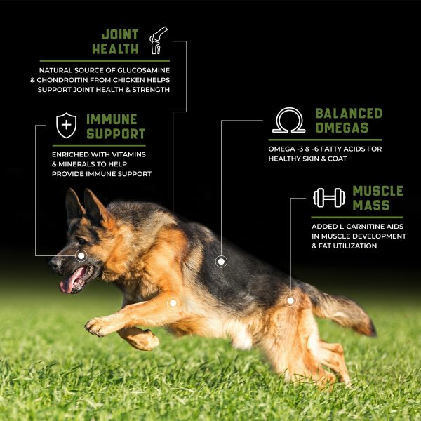 CANINE X PERFORMANCE - GRAIN FREE POLLO- PERRO