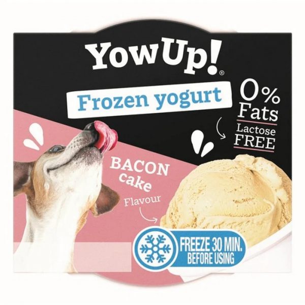 FROZEN YOGURT - Bacon Cake 110g