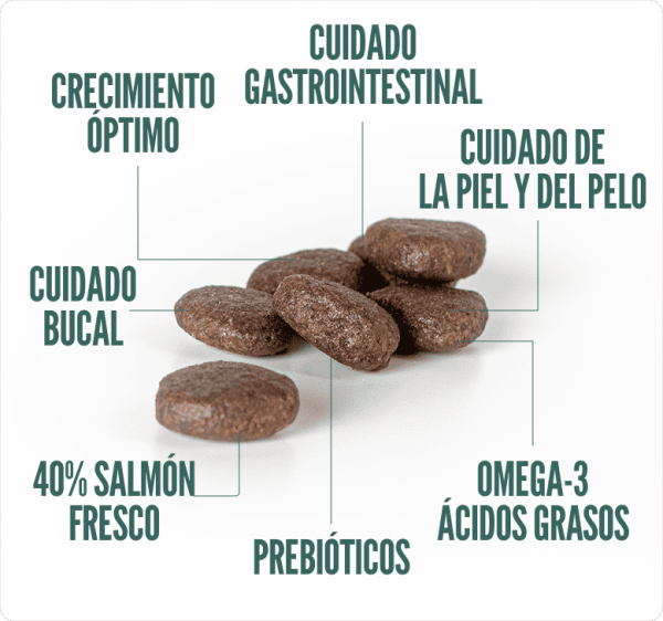 SUMMIT10 GRAIN FREE SENSITIVE SALMÓN Y PAPA - PERRO