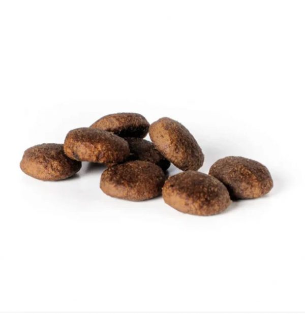 SUMMIT 10 WHOLE CHOICE GRAIN FREE PERRO ADULTO POLLO