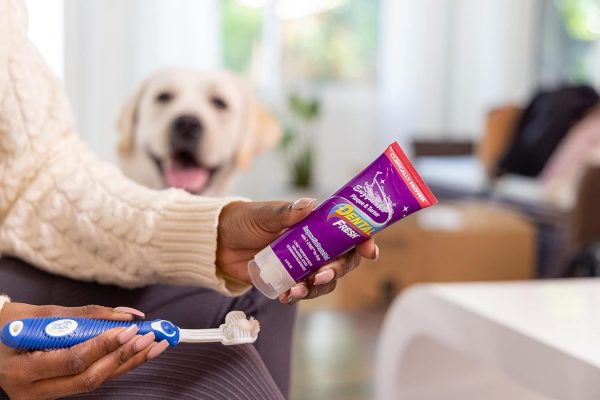 GEL ENZYMATICO DENTAL PARA PERROS-Dental Fresh