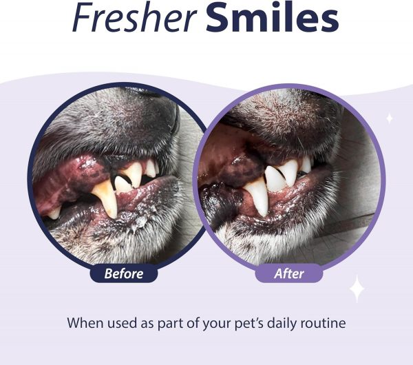 GEL ENZYMATICO DENTAL PARA PERROS-Dental Fresh