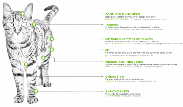 NUPEC GATO ADULTO INDOOR