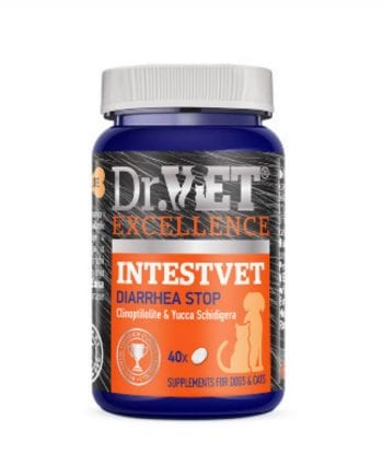 DR.VET INTESTVET Suplemento para la Diarrea en Perros y Gatos - 40 Tabletas