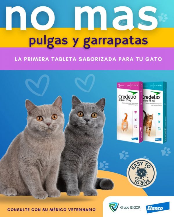 CREDELIO ANTIPULGAS GATO caja de 3 tabletas
