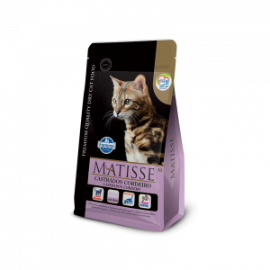 Matisse gato castrado cordero