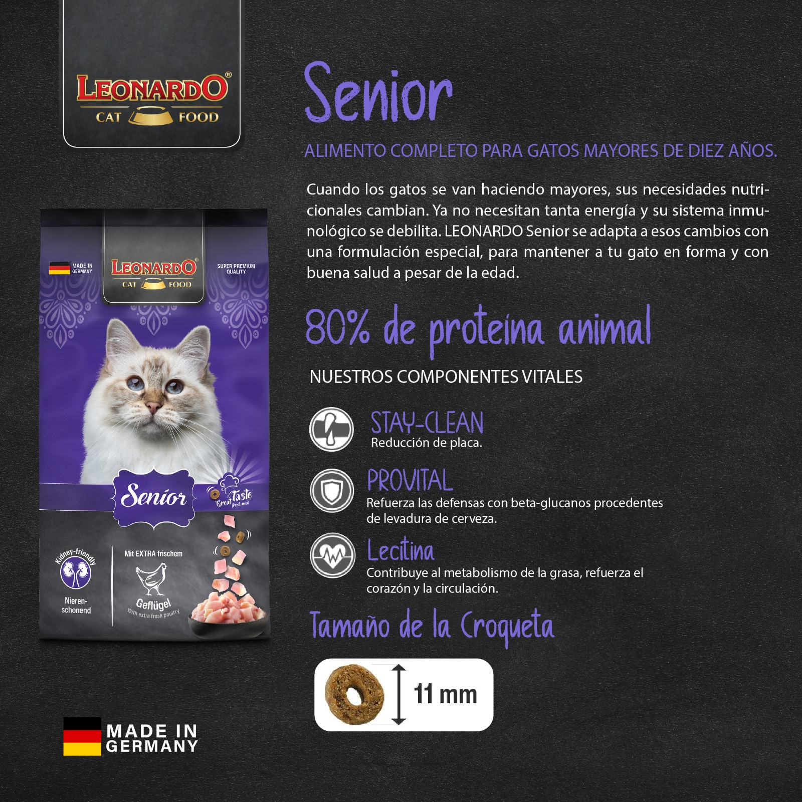 LEONARDO SENIOR-GATO