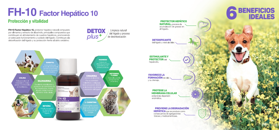 FH-10 FACTOR HEPÁTICO 10