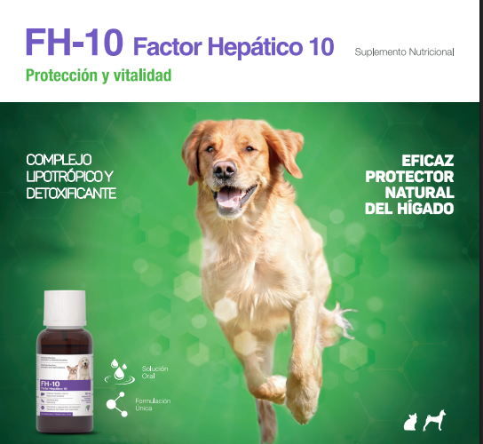 FH-10 FACTOR HEPÁTICO 10