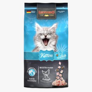 LEONARDO KITTEN-GATITOS