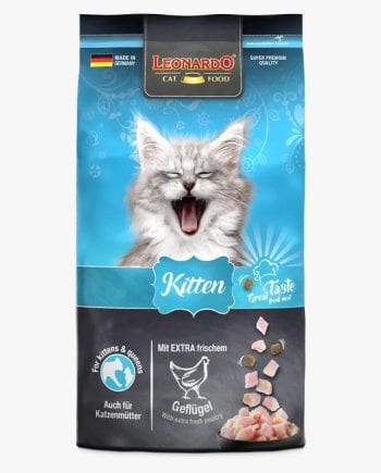 LEONARDO KITTEN-GATITOS