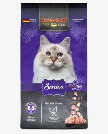 LEONARDO SENIOR-GATO