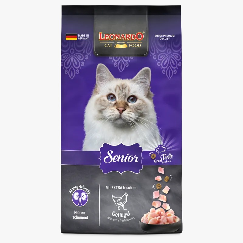 LEONARDO SENIOR-GATO