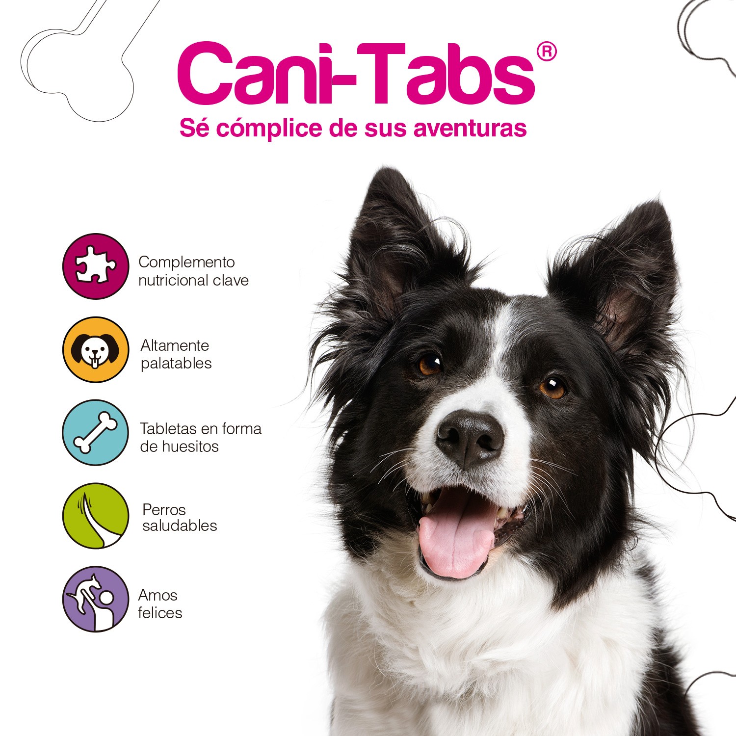 CANI-TABS® DIGESTIVE+