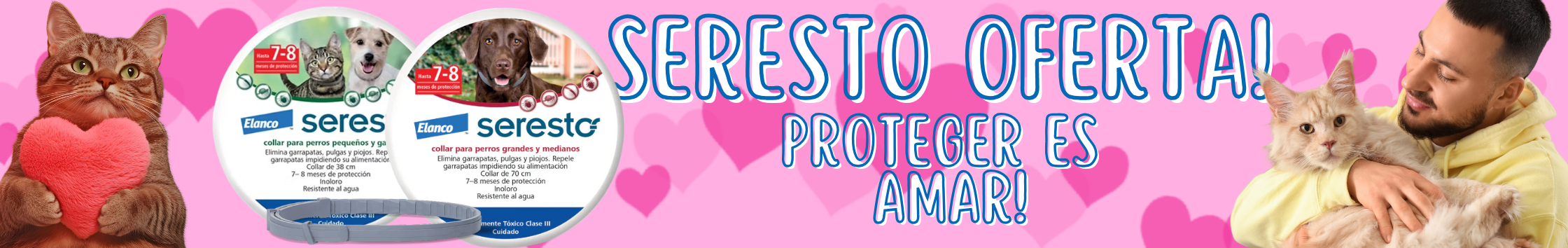 FEB PORTADA pagina 3