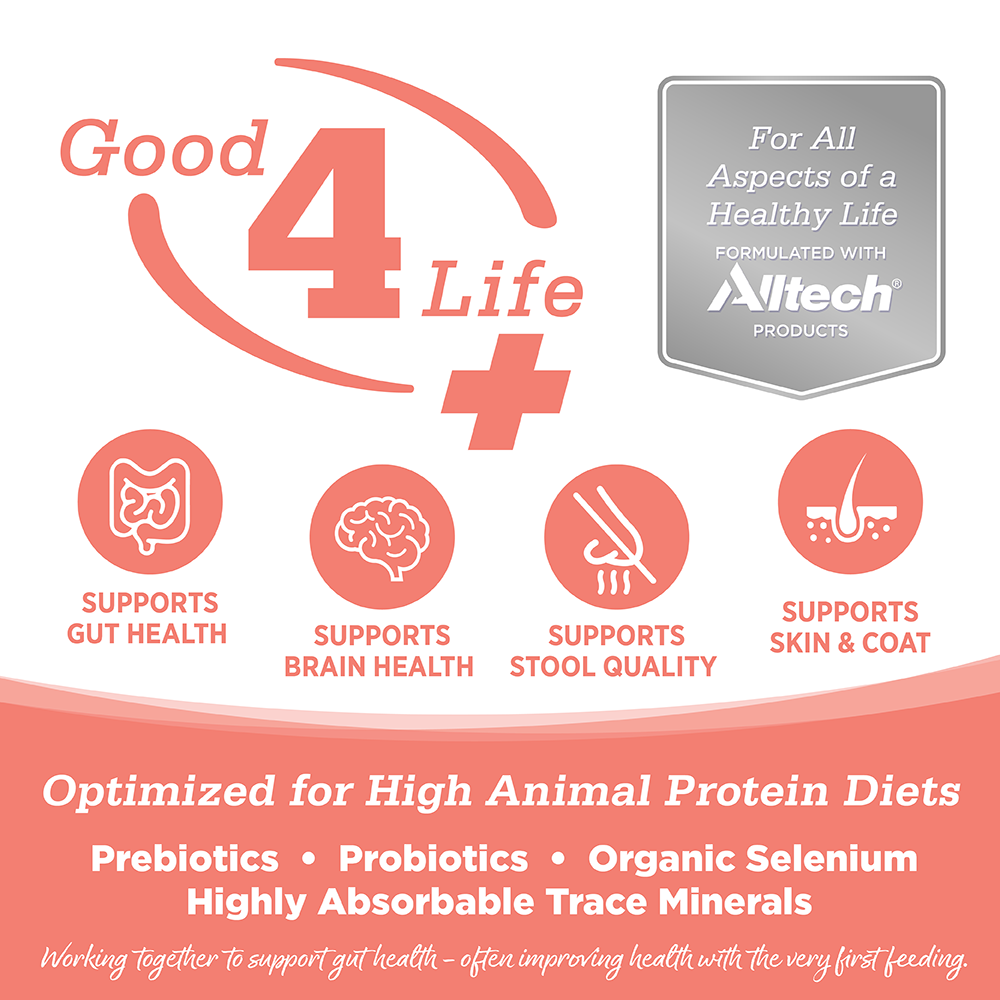 NUTRISOURCE OCEAN SELECT GATO