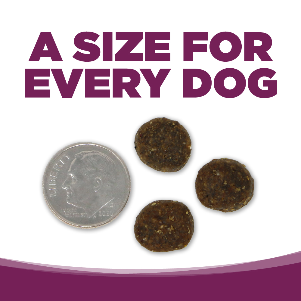 NUTRISOURCE PURE VITA PORK & BLUEBERRY ENTRÉE