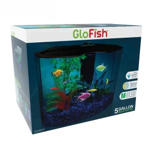 KIT GLOFISH AQUARIUM WITH BLUE LED LIGHT 5 GALONES