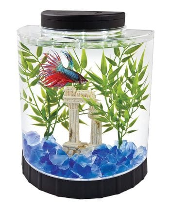KIT TETRA BETTA LED HAL MOON 5 GALONES