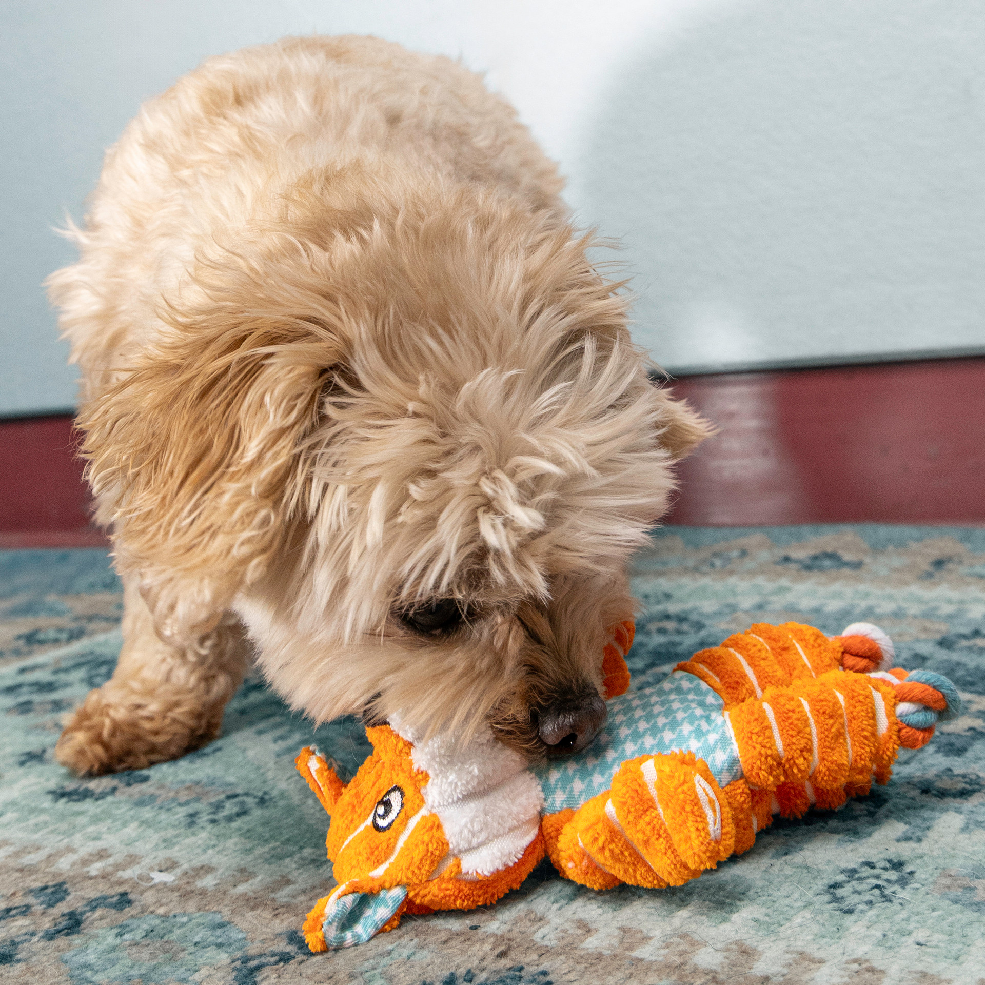 KONG FLOPPY KNOTS FOX