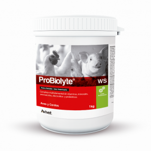 PROBIOLYTE® WS