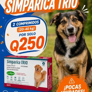 PROMO DUO SIMPARICA TRIO-Perro - 20kg a 40kg 48mg